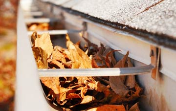 Peinachorrain gutter cleaning companies