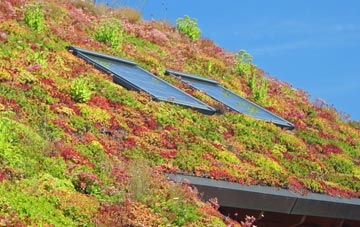 Peinachorrain living roof systems